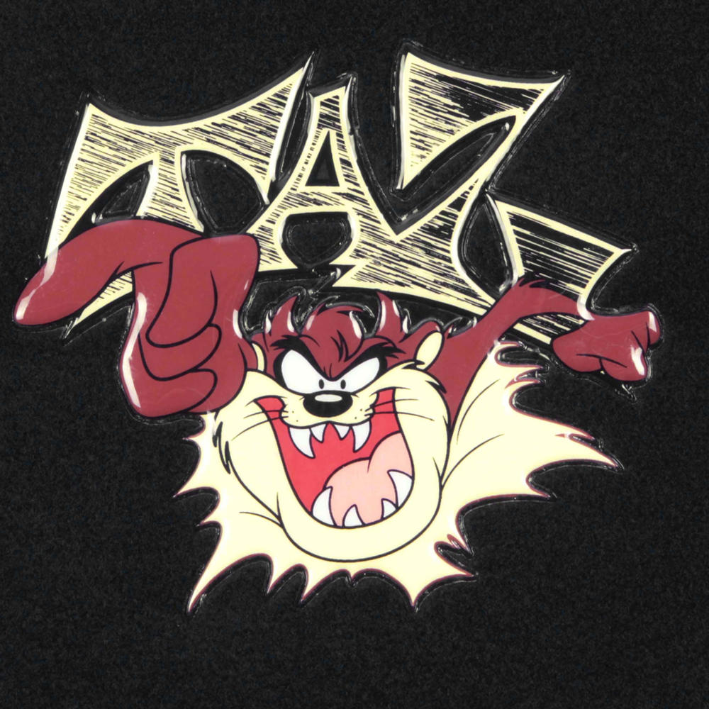 Warner Bros Looney Tunes 4-Stück Tazmanian Devil Front Floor Mats und Rear Floor Mats